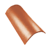 gąsior podstawowy