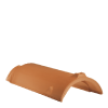 gąsior PZ