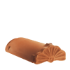 gąsior początkowy