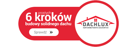 logo panorama dachów